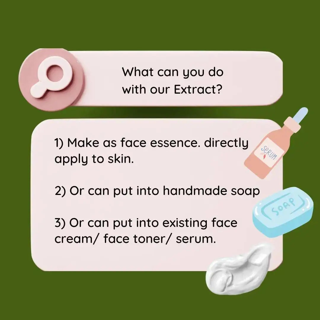 High Quality Soapberry Extract Liquid Essence Anti-hair Loss Hair Care Cosmetic Raw Material Additive