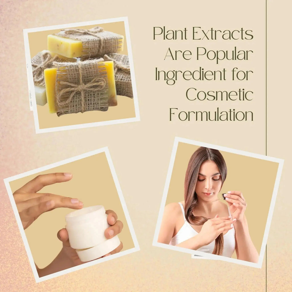 High Quality Soapberry Extract Liquid Essence Anti-hair Loss Hair Care Cosmetic Raw Material Additive